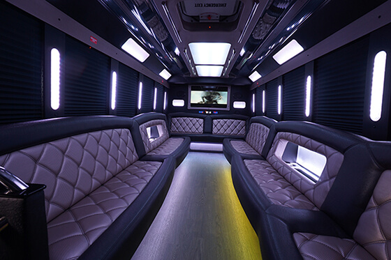 comfortably seat party buses